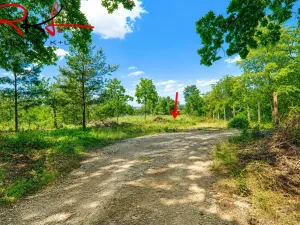 Prodej zahrady, Černouček, 5000 m2