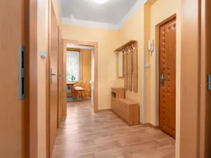 Prodej bytu 1+1, Příbram - Příbram VII, náměstí Fráni Kučery, 45 m2