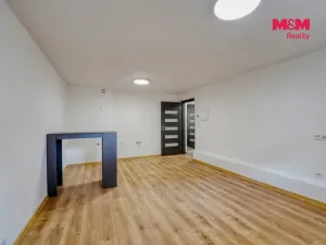 Prodej obchodního prostoru, Plzeň - Východní Předměstí, Ořechová, 26 m2