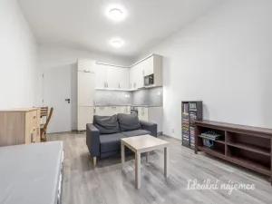 Pronájem bytu 1+kk, Praha - Braník, Nad přívozem, 29 m2