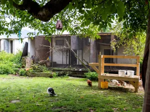 Prodej rodinného domu, Litíč, 60 m2
