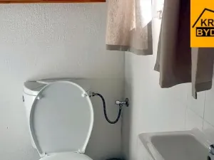 Pronájem chalupy, Rohozná, 220 m2