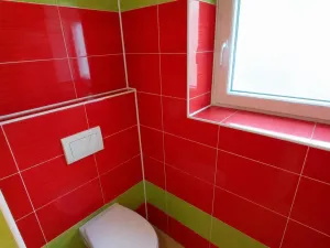 Pronájem bytu 2+1, Litvínov - Hamr, Chemiků, 55 m2