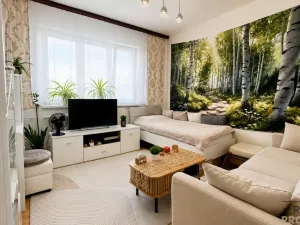 Pronájem bytu 2+1, Hodonín, Cihlářská čtvrť, 54 m2