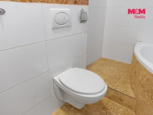 Prodej bytu 3+kk, Horní Lhota, 135 m2