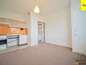 Prodej bytu 1+1, Pardubice, Arnošta z Pardubic, 42 m2