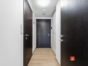 Pronájem bytu 1+kk, Olomouc - Nová Ulice, Třída Jiřího Pelikána, 33 m2