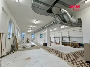 Pronájem obchodního prostoru, Ostrava - Slezská Ostrava, Šenovská, 560 m2