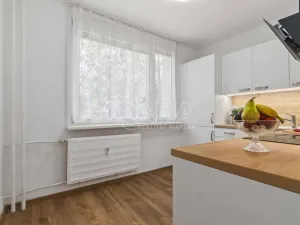 Pronájem bytu 2+1, Ústí nad Labem - Severní Terasa, Kmochova, 60 m2
