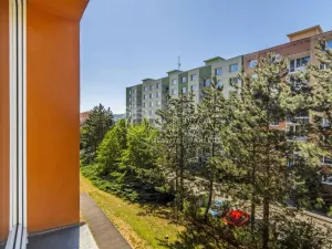 Pronájem bytu 2+1, Ústí nad Labem - Severní Terasa, Kmochova, 60 m2