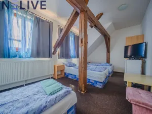 Prodej ubytování, Úlice, 600 m2