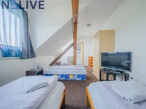Prodej ubytování, Úlice, 600 m2