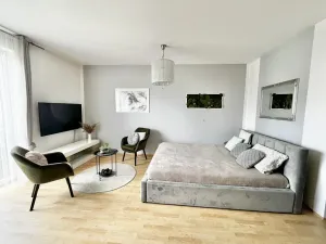 Prodej bytu 1+kk, České Budějovice - České Budějovice 2, Spojovací, 35 m2