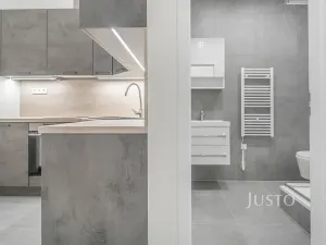 Pronájem bytu 1+1, Praha - Žižkov, Krásova, 32 m2