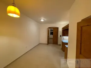 Pronájem bytu 1+kk, Plzeň - Jižní Předměstí, Borská, 30 m2