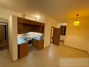 Pronájem bytu 2+kk, Plzeň - Jižní Předměstí, Borská, 50 m2