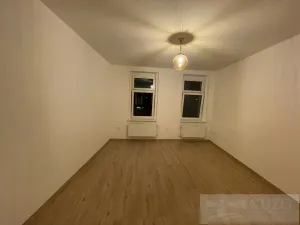 Pronájem bytu 2+kk, Plzeň - Jižní Předměstí, Borská, 50 m2