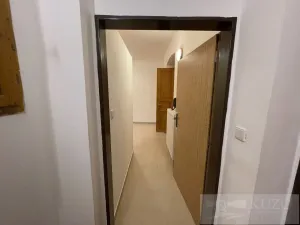 Pronájem bytu 2+kk, Plzeň - Jižní Předměstí, Borská, 50 m2