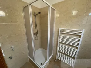 Pronájem bytu 2+kk, Plzeň - Jižní Předměstí, Borská, 50 m2