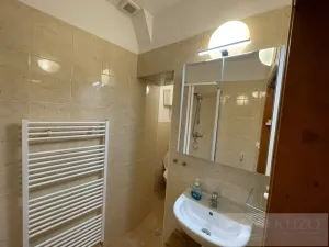 Pronájem bytu 2+kk, Plzeň - Jižní Předměstí, Borská, 50 m2