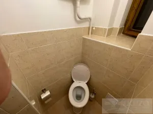 Pronájem bytu 2+kk, Plzeň - Jižní Předměstí, Borská, 50 m2