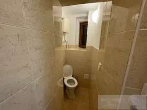 Pronájem bytu 2+kk, Plzeň - Jižní Předměstí, Borská, 50 m2