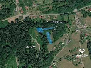 Prodej lesa, Mikulůvka, 3828 m2