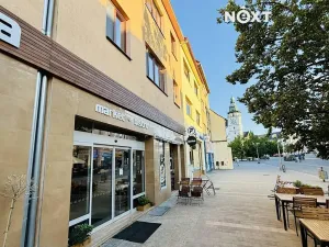 Pronájem bytu 4+1, Vyškov, Sušilova, 104 m2