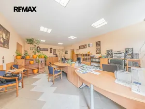 Prodej rodinného domu, Slaný, Šultysova, 815 m2