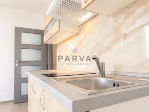 Prodej bytu 1+kk, Plzeň - Jižní Předměstí, U Borského parku, 21 m2
