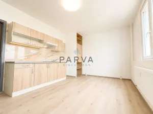 Prodej bytu 1+kk, Plzeň - Jižní Předměstí, U Borského parku, 21 m2