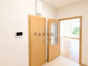 Pronájem bytu 1+kk, Plzeň - Jižní Předměstí, Nemocniční, 30 m2