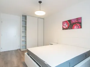 Pronájem bytu 2+kk, Praha - Karlín, Nekvasilova, 67 m2