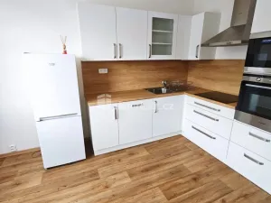 Pronájem bytu 1+1, Děčín - Děčín IX-Bynov, Na Pěšině, 35 m2