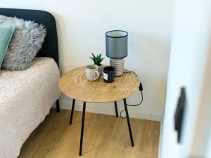 Prodej bytu 3+kk, Ostrava - Poruba, Aleše Hrdličky, 41 m2