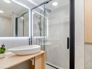 Prodej bytu 3+kk, Ostrava - Poruba, Aleše Hrdličky, 41 m2