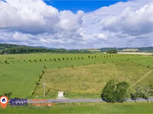 Prodej komerčního pozemku, Králíky, 5989 m2