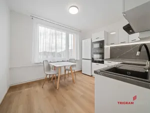 Pronájem bytu 1+1, Hradec Králové - Nový Hradec Králové, Fričova, 38 m2