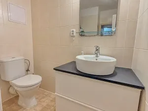 Prodej bytu 2+kk, Kralupy nad Vltavou, Přemyslova, 50 m2