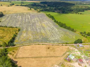 Prodej pozemku pro bydlení, Františkovy Lázně - Krapice, 1129 m2