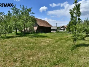Prodej zemědělské usedlosti, Židovice, 86 m2