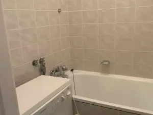 Prodej bytu 2+1, Praha, V olšinách, 45 m2