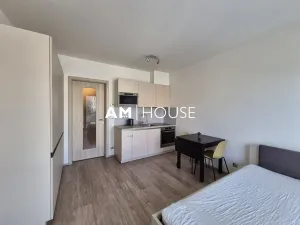 Pronájem bytu 1+kk, Praha - Vysočany, Bassova, 30 m2