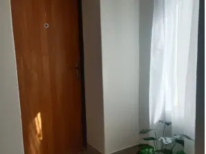 Pronájem bytu 1+1, Tršice - Hostkovice, 48 m2