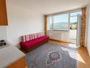 Prodej bytu 1+kk, Chomutov, Havlíčkova, 24 m2