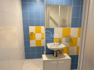 Prodej bytu 1+kk, Chomutov, Havlíčkova, 24 m2
