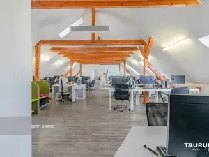 Pronájem kanceláře, Plzeň, Kopeckého sady, 265 m2