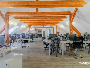 Pronájem kanceláře, Plzeň, Kopeckého sady, 265 m2