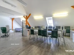 Pronájem kanceláře, Plzeň, Kopeckého sady, 265 m2