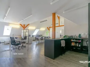 Pronájem kanceláře, Plzeň, Kopeckého sady, 265 m2
